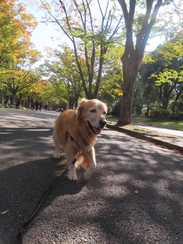 ファイル 8854-3.jpg