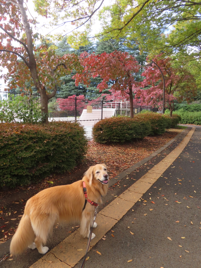 ファイル 8854-4.jpg