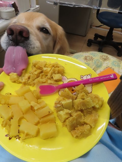 ファイル 8856-5.jpg