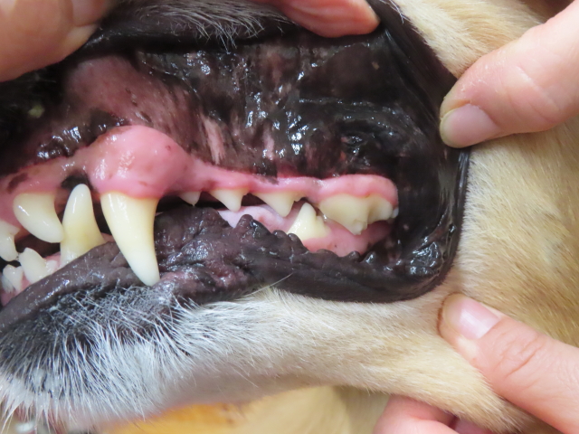 ファイル 8857-2.jpg