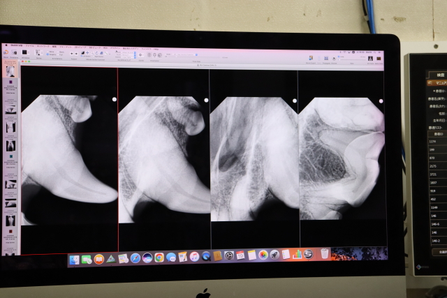 ファイル 8857-4.jpg