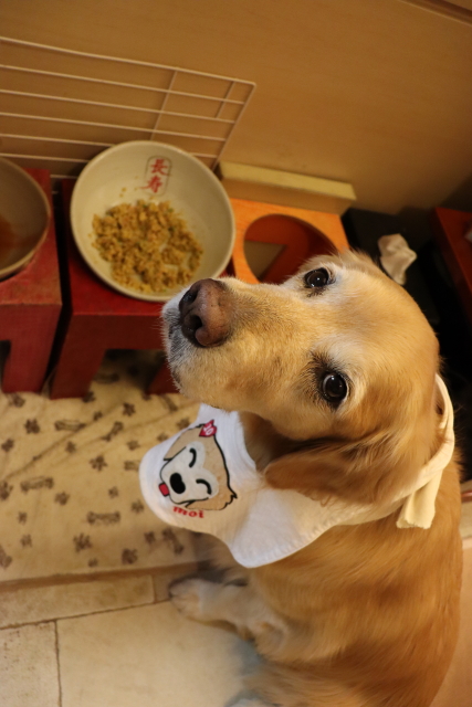 ファイル 8857-5.jpg