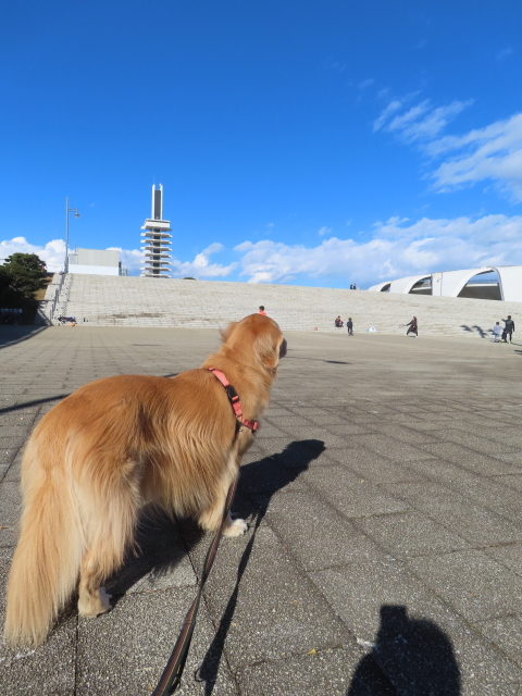 ファイル 8873-2.jpg