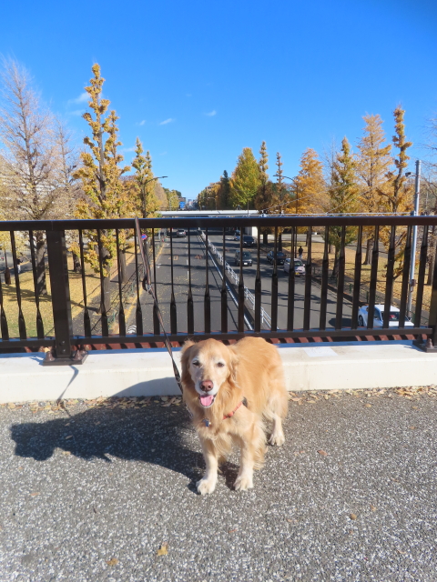 ファイル 8873-4.jpg