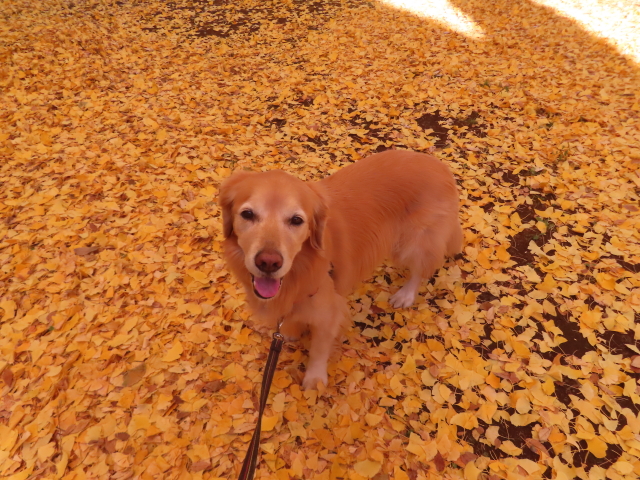 ファイル 8874-2.jpg