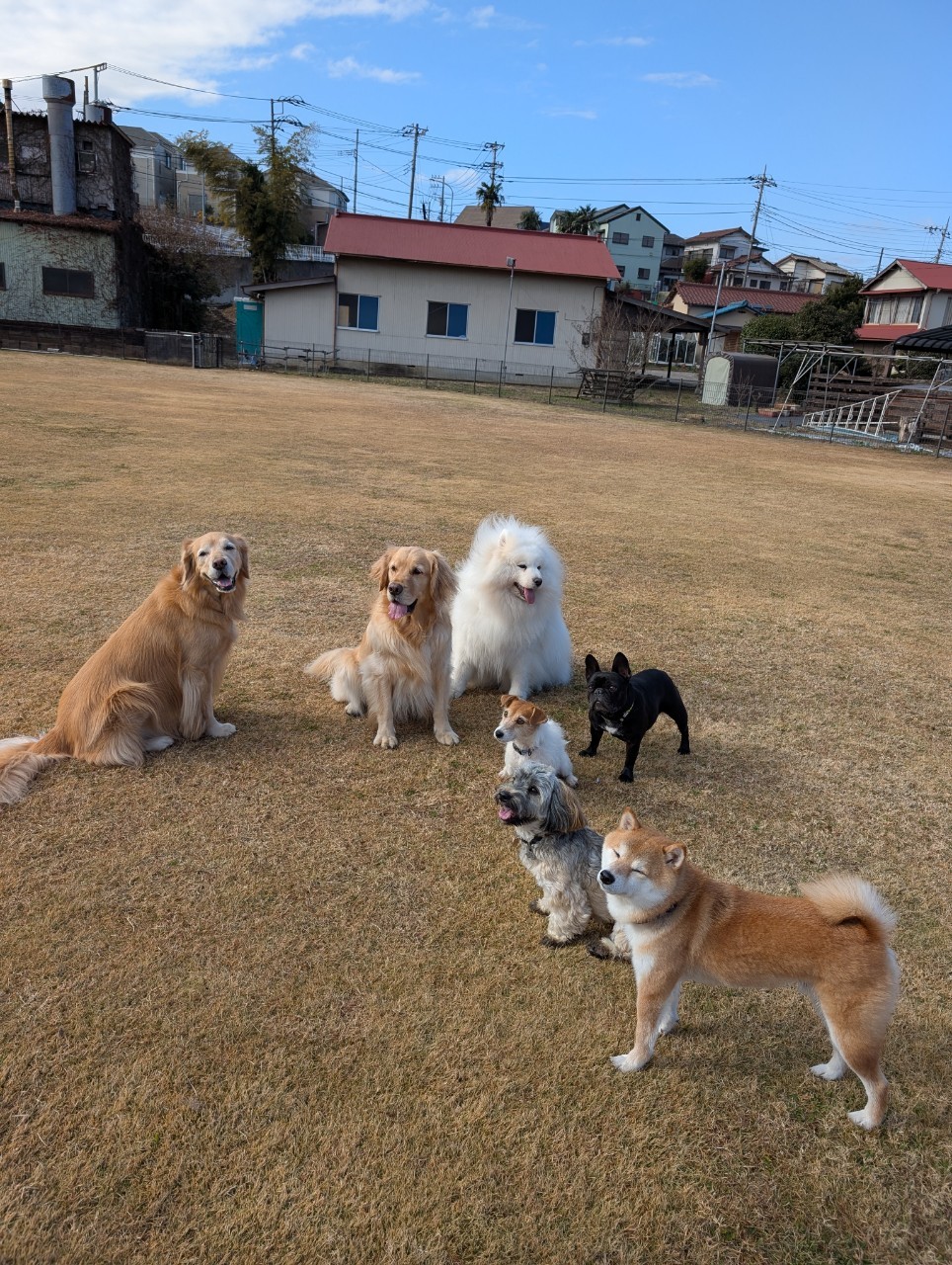 ファイル 8875-1.jpeg