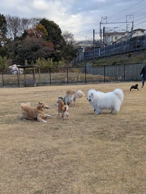 ファイル 8875-2.jpeg