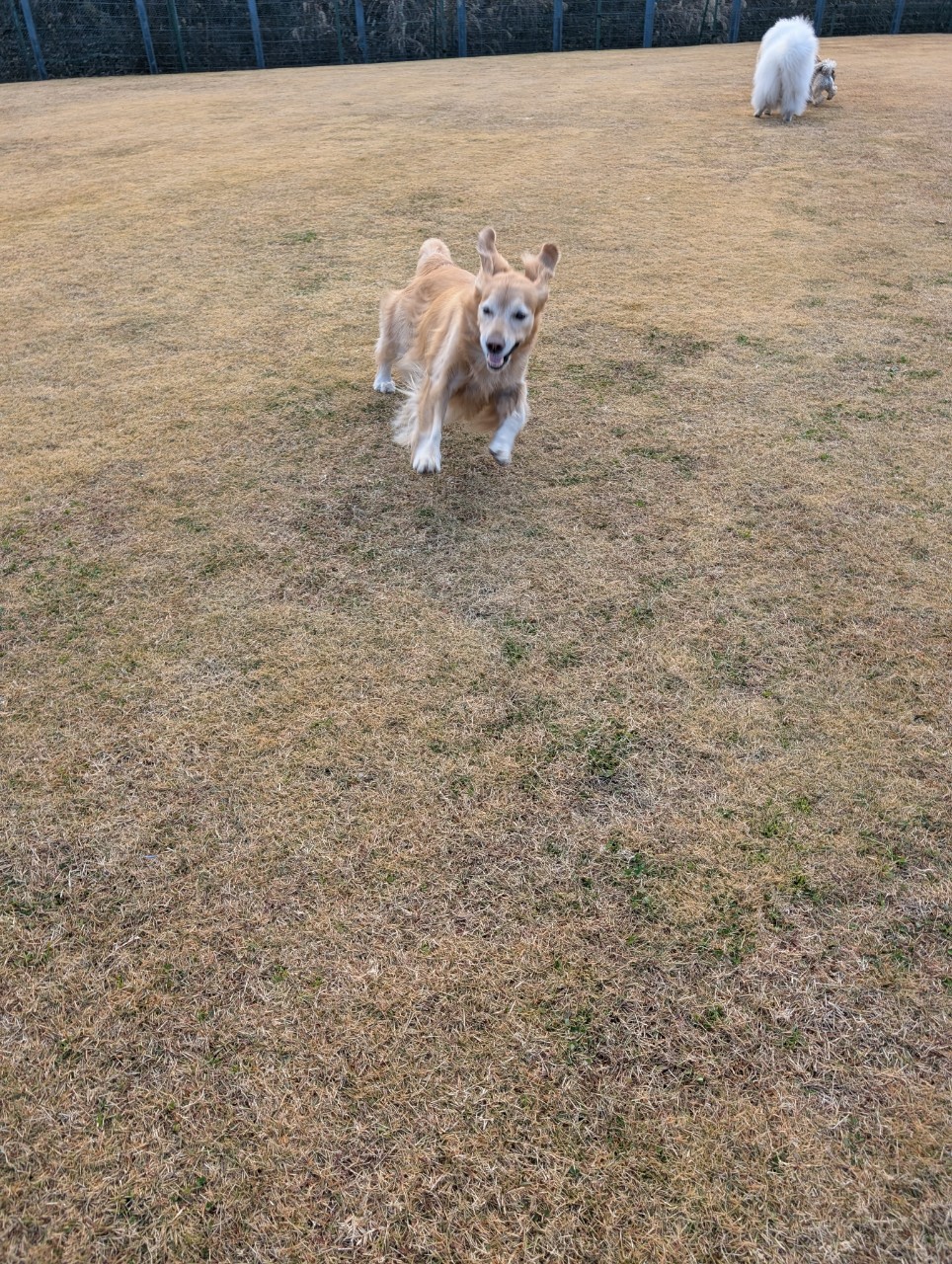 ファイル 8875-3.jpeg