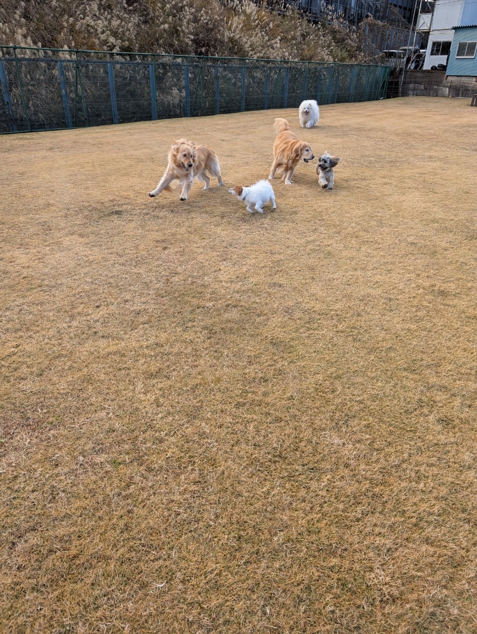 ファイル 8875-4.jpeg