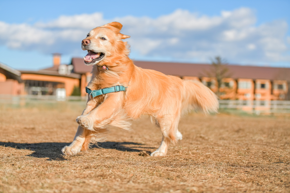 ファイル 8883-2.jpg