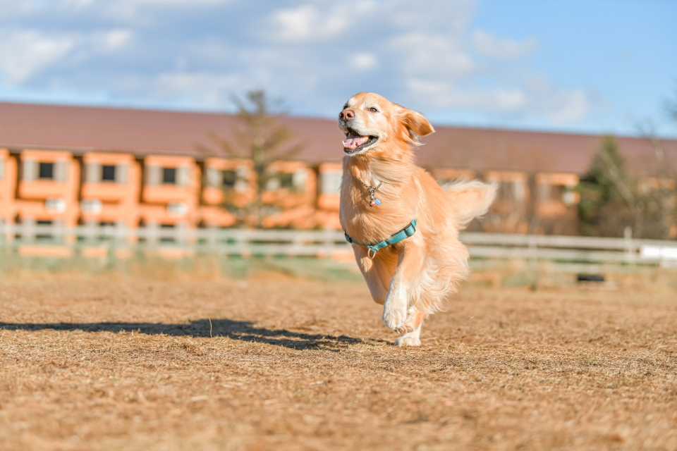 ファイル 8883-3.jpg