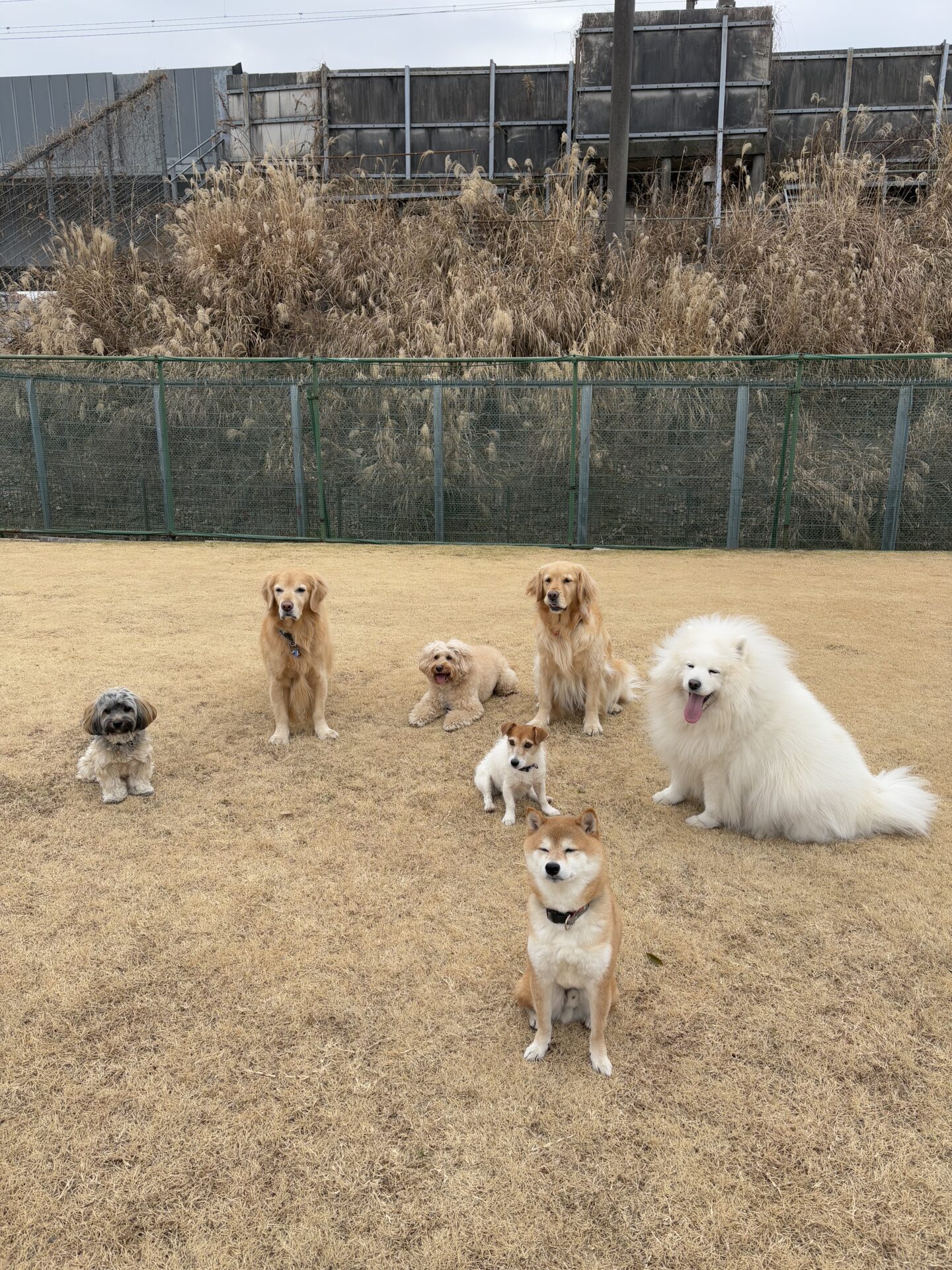 ファイル 8887-1.jpeg