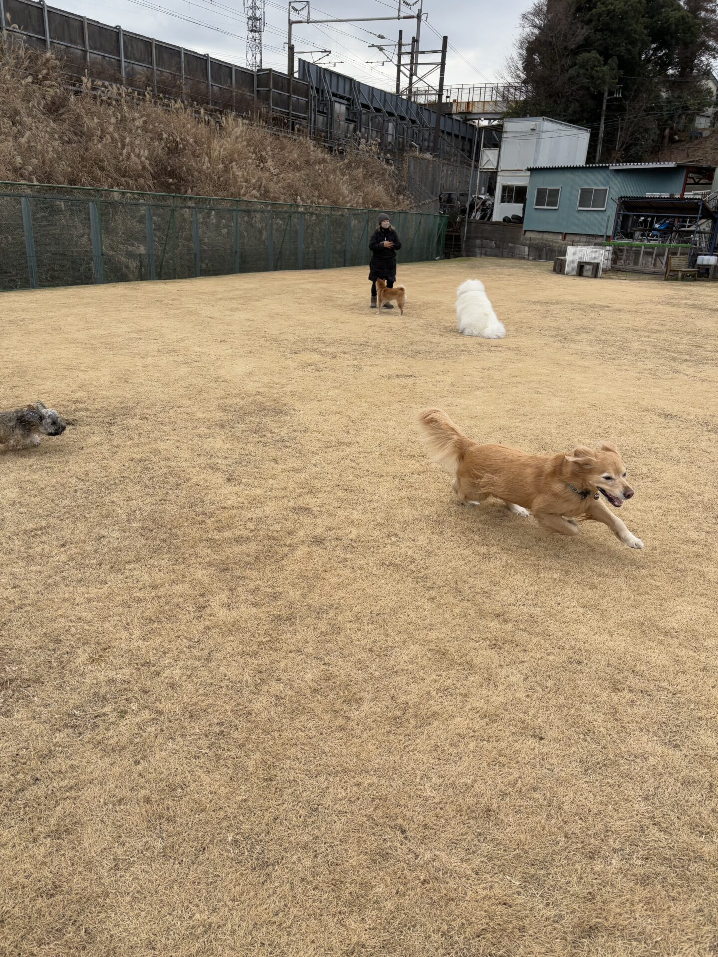 ファイル 8887-5.jpeg