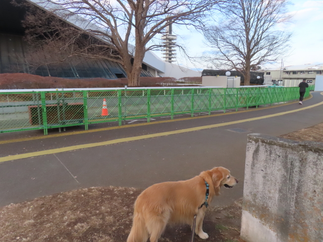 ファイル 8898-2.jpg