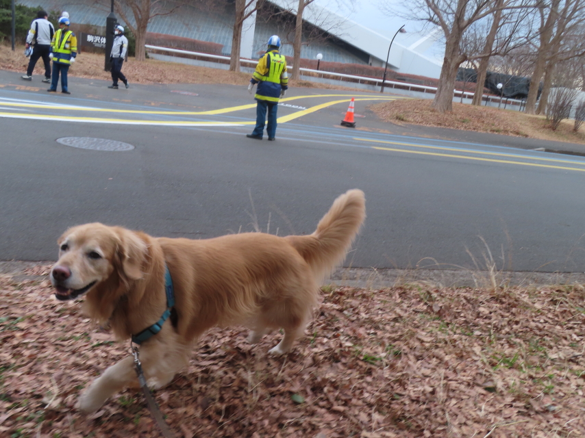 ファイル 8898-4.jpg