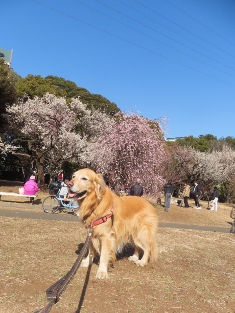 ファイル 8902-1.jpg