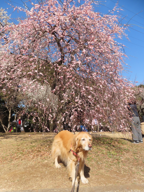 ファイル 8902-3.jpg