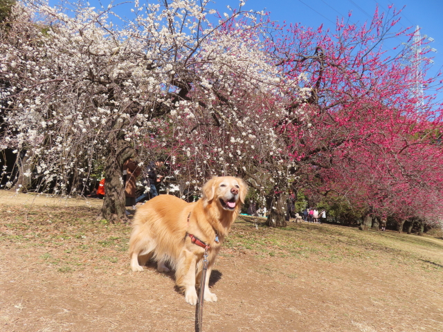 ファイル 8907-4.jpg