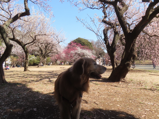 ファイル 8908-1.jpg