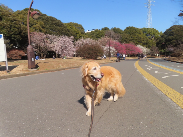 ファイル 8908-2.jpg