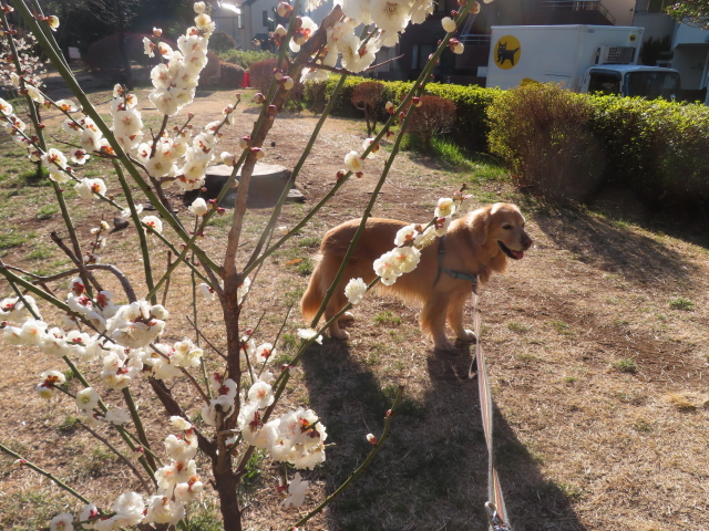 ファイル 8908-3.jpg