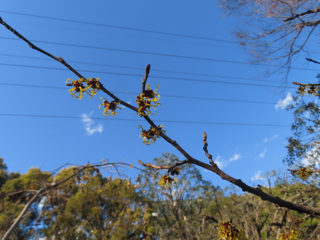 ファイル 8908-4.jpg