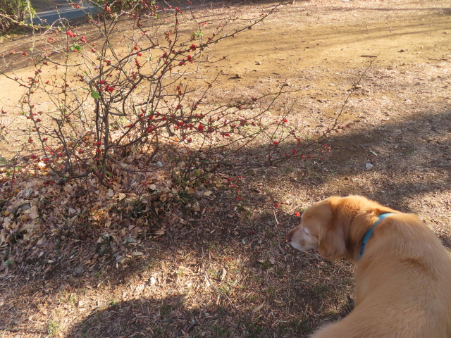 ファイル 8908-5.jpg