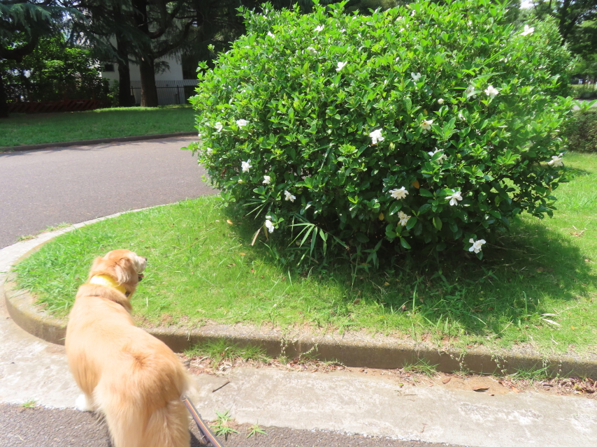 ファイル 8968-3.jpg