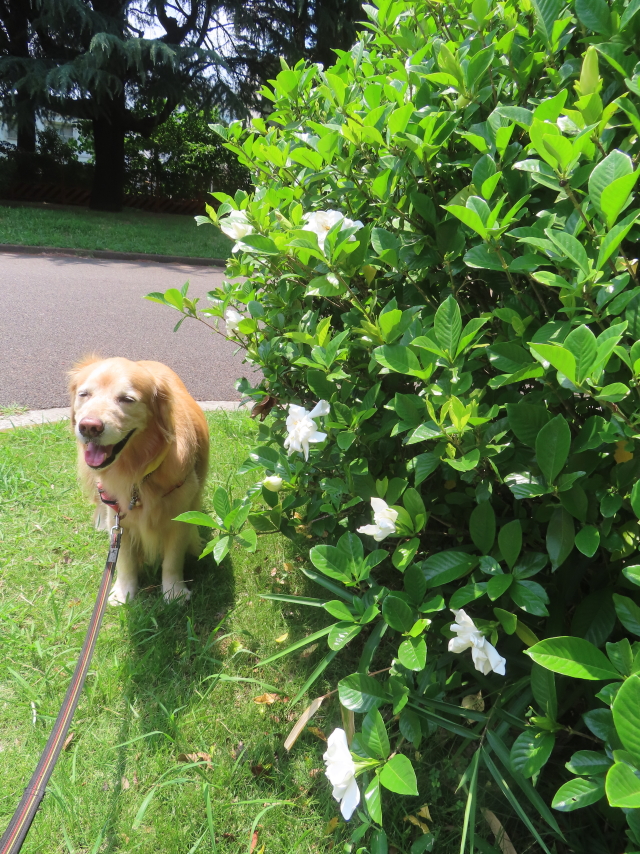 ファイル 8968-4.jpg