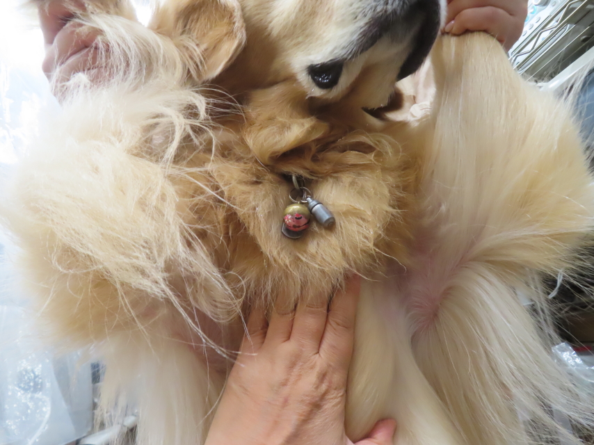 ファイル 8969-5.jpg