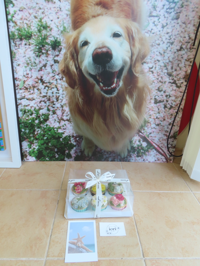 ファイル 8971-3.jpg