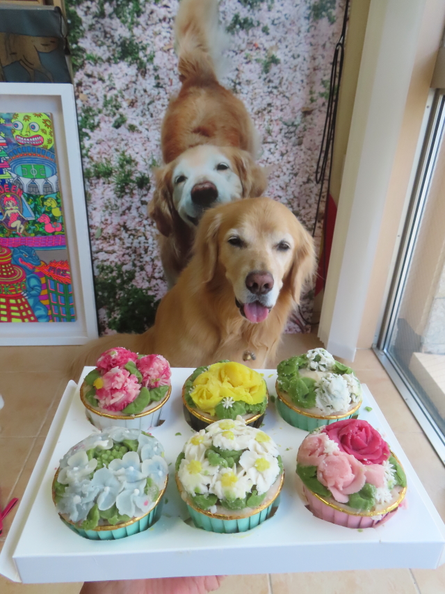 ファイル 8971-4.jpg