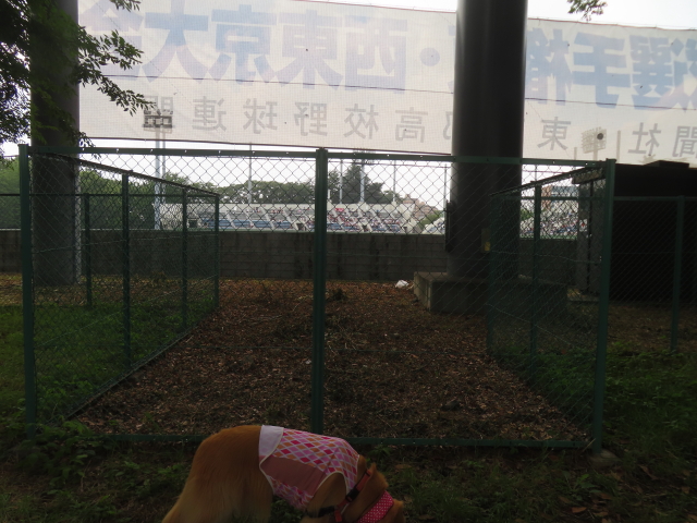 ファイル 8975-2.jpg