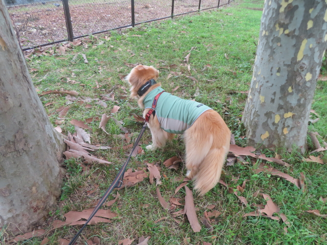 ファイル 8975-4.jpg