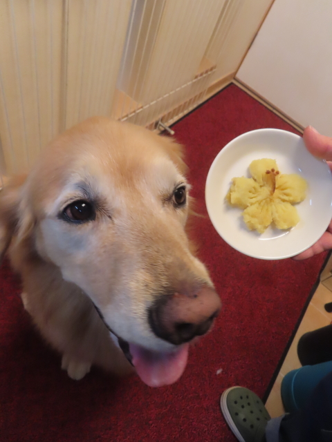 ファイル 8981-4.jpg