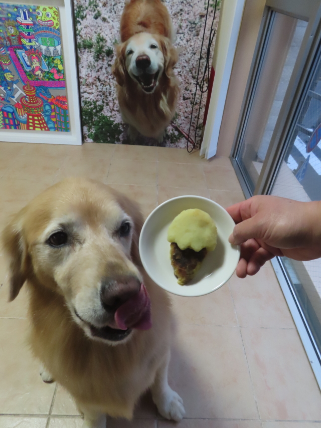 ファイル 8989-4.jpg