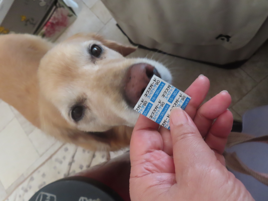 ファイル 8989-5.jpg