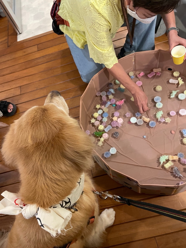 ファイル 8990-1.jpg