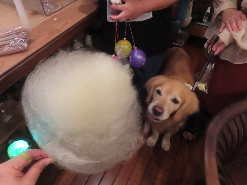 ファイル 8990-5.jpg