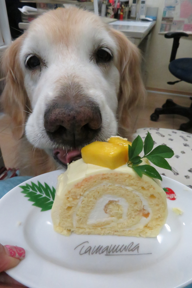 ファイル 8994-1.jpg