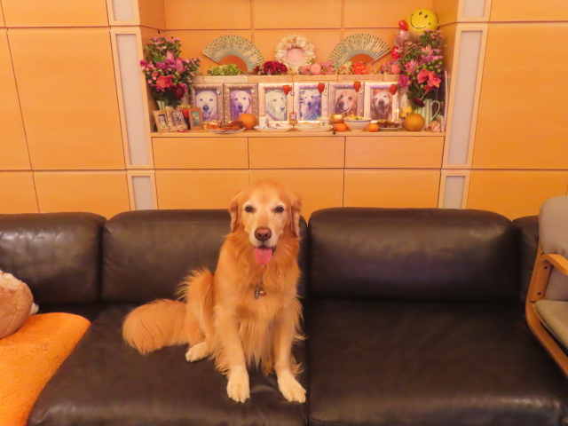 ファイル 8994-5.jpg