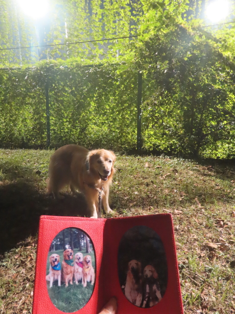 ファイル 8995-1.jpg