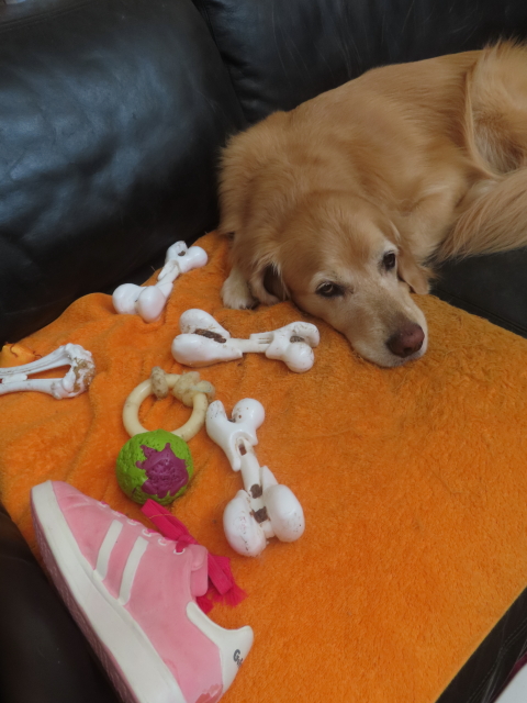 ファイル 8996-1.jpg