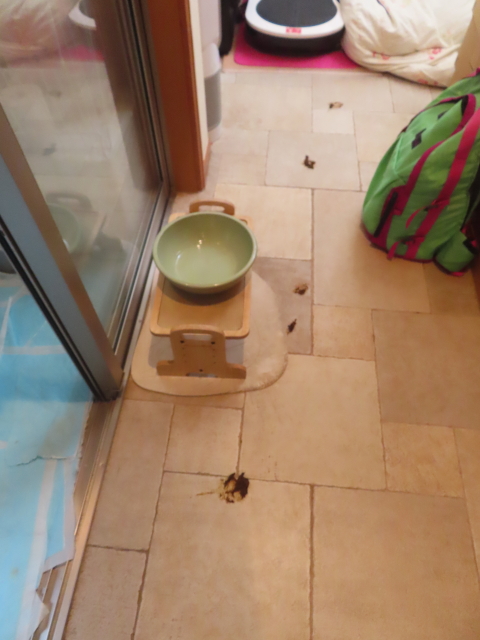 ファイル 8996-3.jpg