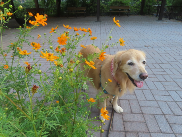 ファイル 9001-1.jpg