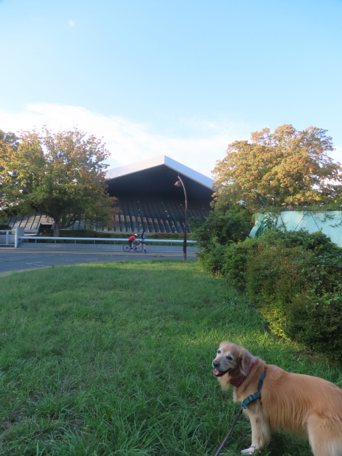 ファイル 9001-2.jpg