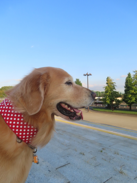 ファイル 9001-3.jpg