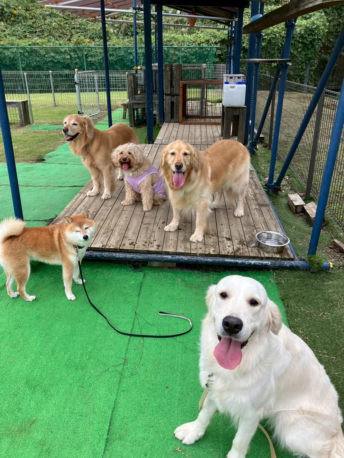 ファイル 9006-1.jpg