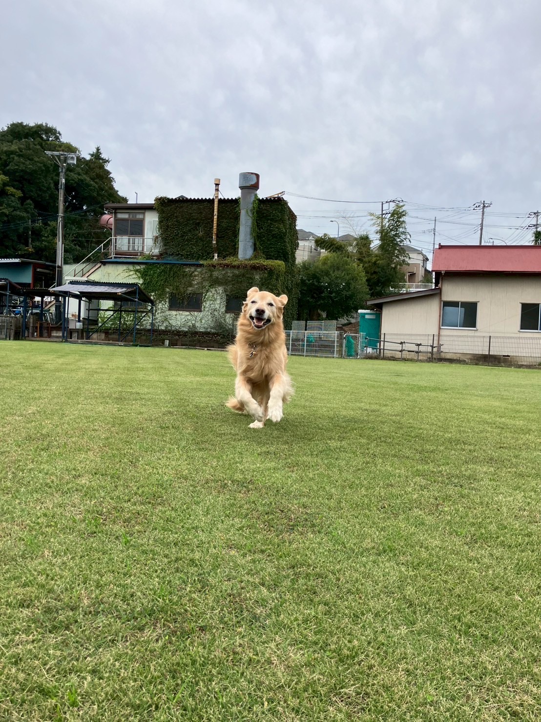 ファイル 9006-2.jpg