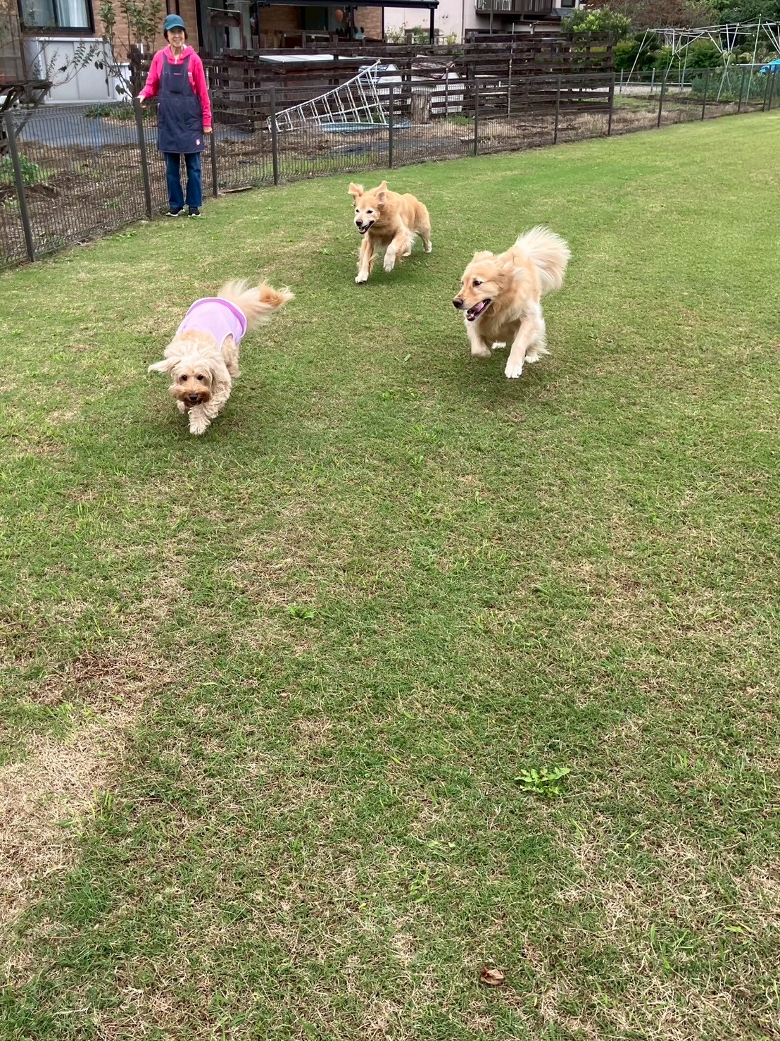 ファイル 9006-3.jpg